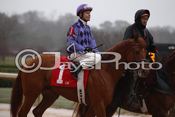 Oaklawn (Rebel Stakes Day) 3-14-2015 (©Justin Manning) JWM_232