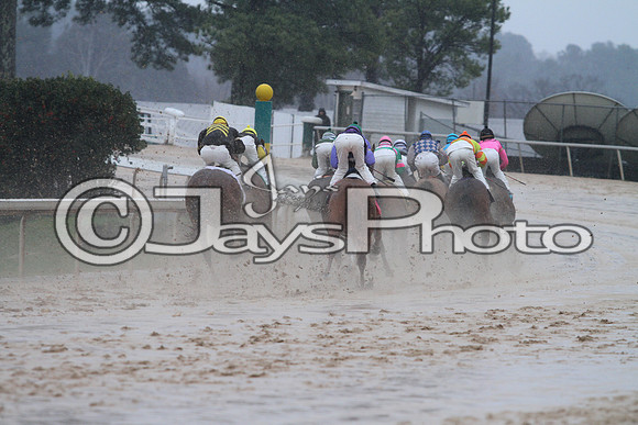 50th Running Southwest Stakes (Grade III) 2-22-2015 (©Justin Manning) JWM_133
