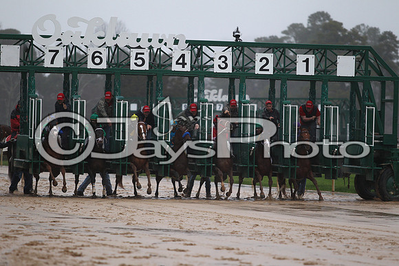 Oaklawn (Rebel Stakes Day) 3-14-2015 (©Justin Manning) JWM_309