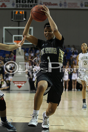 Pulaski Academy vs. Hot Springs 5A Girls State Finals 3-14-2015 (©Justin Manning) JWM_595