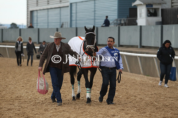z190218_SouthwestStakesDay_Manning_840