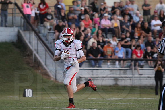 Glen Rose @ Bauxite 9-13-13 (© Justin Manning) JWM0138