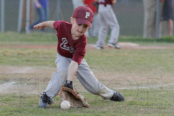 Phillies vs. Panthers 5-6 year old 5-6-2014 (© Justin Manning) JWM_0073