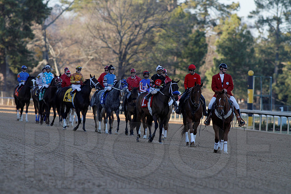 Smarty Jones Stakes 01-20-14 (©Justin Manning) JWM_0316