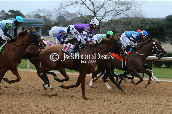 z210123_Pippin Stakes_Manning_0259