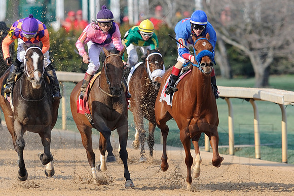 Honeybee Stakes (Grade III) 3-8-2014 (© Justin Manning) JWM_1401