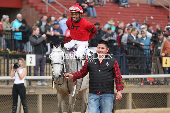 z200217_SouthwestStakesDay_Manning_4222