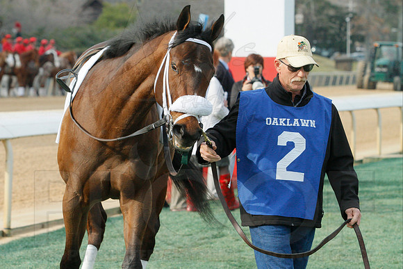 Honeybee Stakes (Grade III) 3-8-2014 (© Justin Manning) JWM_0119
