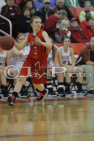 Glen Rose vs. Perryville Girls 3A District Tournament 2-20-2015 (©Justin Manning) JWM_066