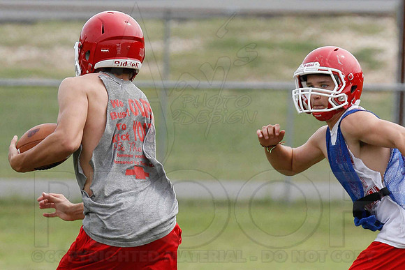 _MG_0081