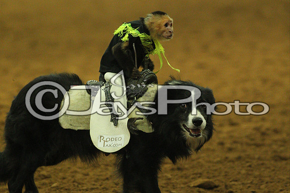 Saline County Rodeo 9-9-17_JWM00131