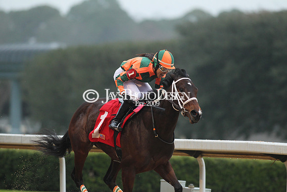z200217_SouthwestStakesDay_Manning_0072