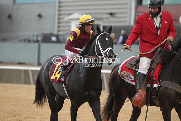 z190218_SouthwestStakesDay_Manning_777
