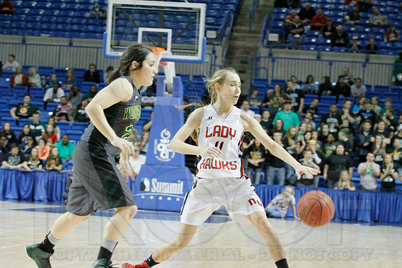 1A Girls State Finals-Nemo Vista vs. Wonderview 3-14-2014 (© Justin Manning) JWM_0265