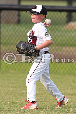 Benton vs. Hamburg 6 year old All Stars 6-29-2015 (©Justin Manning) JWM_0020