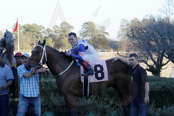 Smarty Jones Stakes 01-20-14 (©Justin Manning) JWM_0481