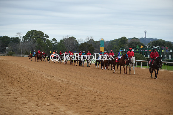 z250104_MockingbirdStakes _JWM_0551