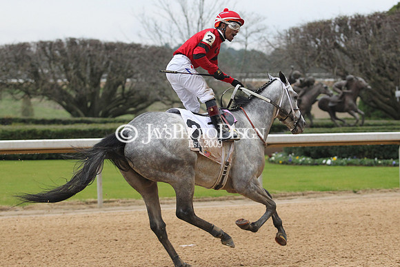 z200217_SouthwestStakesDay_Manning_4114