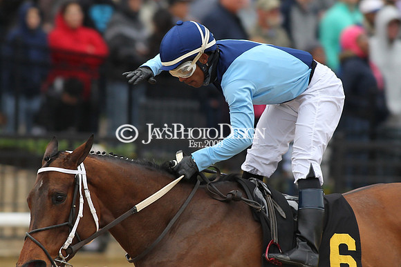 z190218_SouthwestStakesDay_Manning_408