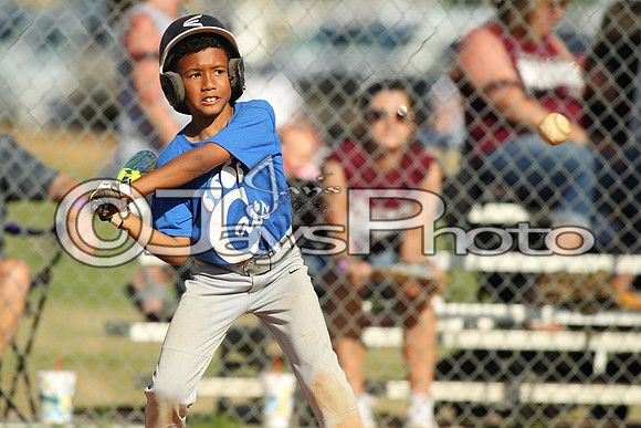 Benton Panthers vs. Conway Cats_0252