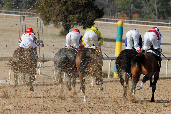 Oaklawn Park (Scenery) 1-26-14 (©Justin Manning) JWM_0103