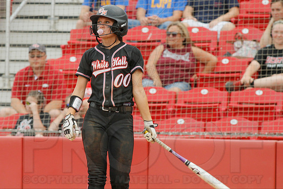 5A State Softball Finals Vilonia vs. White Hall 5-23-2014 (© Justin Manning) JWM_0194