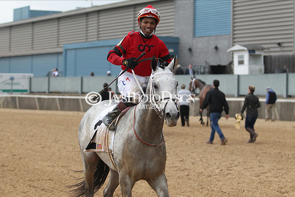 z200217_SouthwestStakesDay_Manning_4157
