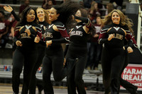 Georgia Southern @ AR-Little Rock Woman's 1-28-2016 (©Justin Manning) JWM_(0016