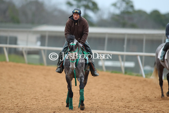 z250104_SmartyJonesStakesDay _JWM_0067