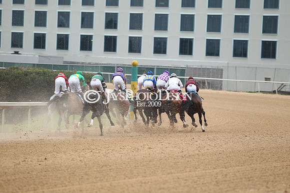 z200217_SouthwestStakesDay_Manning_4046