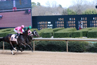 Oaklawn Park 3-3-13 JWM0004 (© Angela Greb)