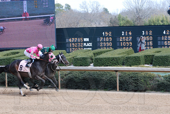 Oaklawn Park 3-3-13 JWM0004 (© Angela Greb)
