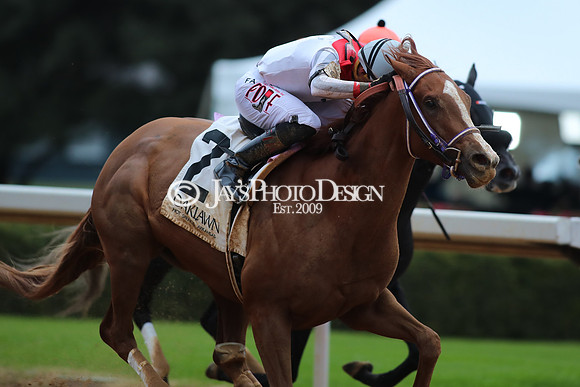 z250104_MockingbirdStakes _JWM_0602
