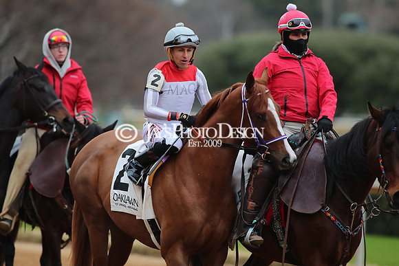 z250104_MockingbirdStakes _JWM_0560