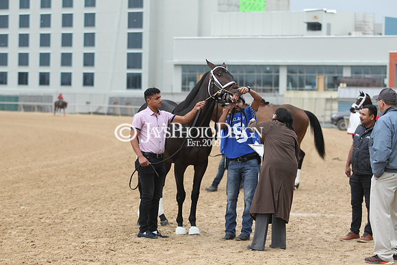 z200217_SouthwestStakesDay_Manning_3102