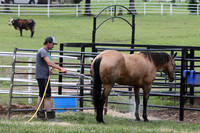 Whiskey Ridge Ranch (Chuckwagon Races) 5-25-25_JWM_1131