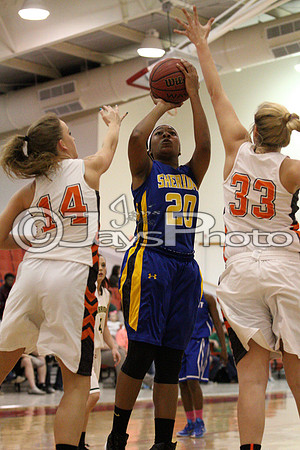Tri-Lakes All Star Baketball Game 3-17-2015 (©Justin Manning) JWM_0006