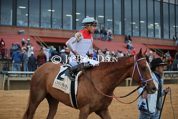 z250104_MockingbirdStakes _JWM_0669