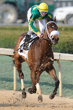 Honeybee Stakes (Grade III) 3-8-2014 (© Justin Manning) JWM_1431