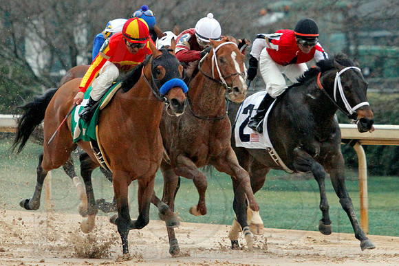 Rebel Stakes 3-15-14 3-15-2014 (© Justin Manning) JWM_0233-2