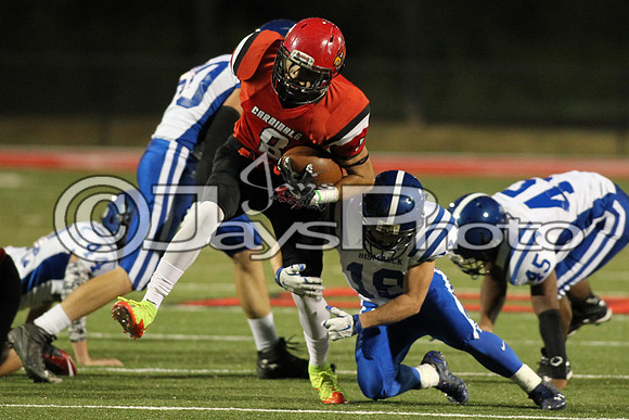 Bismarck @ Harmony Grove 10-2-2015 (©Justin Manning) JWM_0268