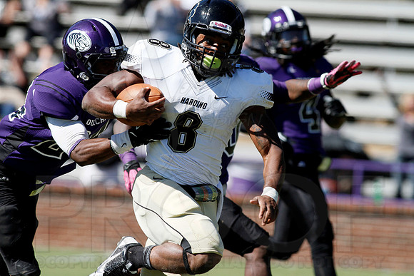 Harding @ OBU 10-19-13 (© Justin Manning) JWM0187