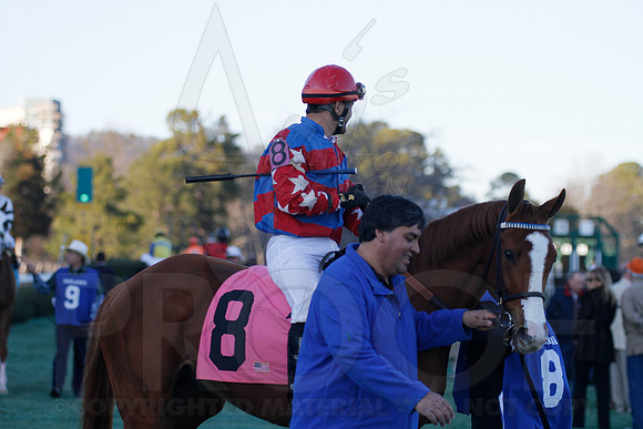 Oaklawn 1-21-13 (Smarty Jones Stakes) (Justin Manning)0141