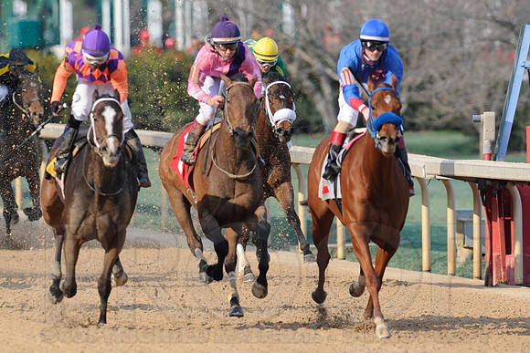 Honeybee Stakes (Grade III) 3-8-2014 (© Justin Manning) JWM_1404