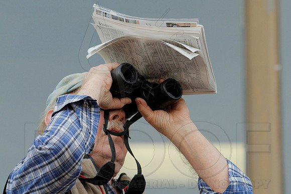 Southwest Stakes 2-17-2014 (© Justin Manning) JWM_0123