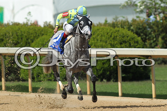 Arkansas Derby Day 4-11-2015 (©Justin Manning) JWM_0146