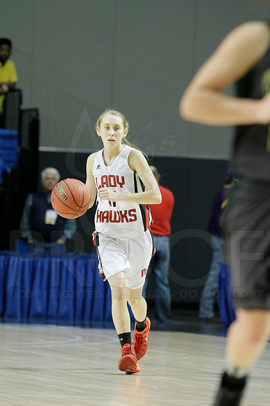 1A Girls State Finals-Nemo Vista vs. Wonderview 3-14-2014 (© Justin Manning) JWM_0164
