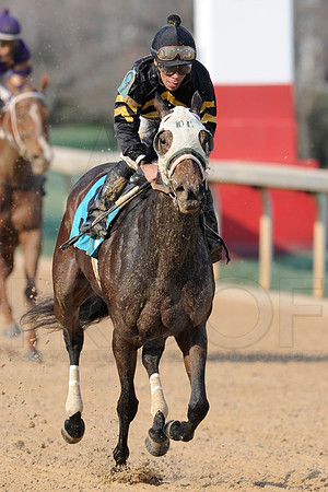 Honeybee Stakes (Grade III) 3-8-2014 (© Justin Manning) JWM_1445
