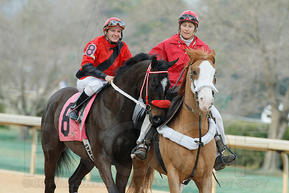 Honeybee Stakes (Grade III) 3-8-2014 (© Justin Manning) JWM_0202