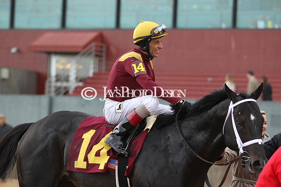 z190218_SouthwestStakesDay_Manning_794